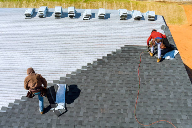 Best Storm Damage Roof Repair  in Prospect Heights, IL