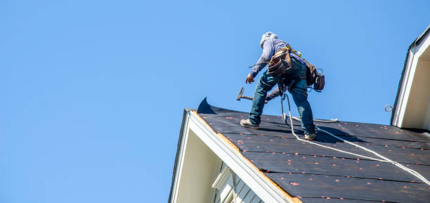 Best Flat Roof Repair Services  in Prospect Heights, IL
